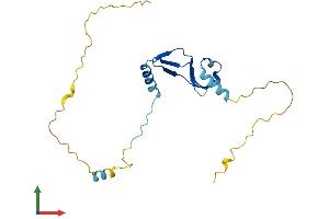 AlphaFold protein structure predicition of Human Recombinant BTF3 Protein, UniprotID P20290