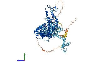 AlphaFold protein structure predicition of Human Recombinant UBE3A Protein, UniprotID Q05086