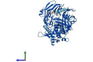 AlphaFold protein structure predicition of Human Recombinant FAP Protein, UniprotID Q12884