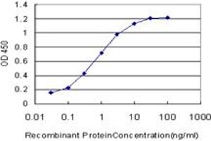anti-Cholinergic Receptor, Muscarinic 2 (CHRM2) (AA 251-350) antibody