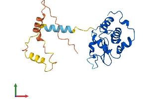 AlphaFold protein structure predicition of Mouse Recombinant Spaca3 Protein, UniprotID Q9D9X8