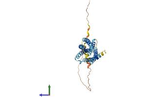 AlphaFold protein structure predicition of Mouse Recombinant Tmem163 Protein, UniprotID Q8C996