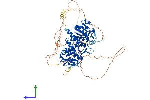 AlphaFold protein structure predicition of Human Recombinant CDC14A Protein, UniprotID Q9UNH5