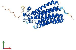 AlphaFold protein structure predicition of Mouse Recombinant Paqr3 Protein, UniprotID Q6TCG8