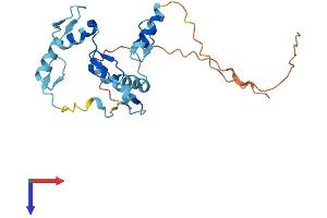 AlphaFold protein structure predicition of Human Recombinant ZNF22 Protein, UniprotID P17026