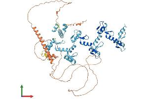 AlphaFold protein structure predicition of Human Recombinant ZNF81 Protein, UniprotID P51508