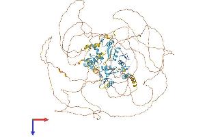 AlphaFold protein structure predicition of Human Recombinant REST Protein, UniprotID Q13127