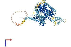 AlphaFold protein structure predicition of Human Recombinant SLC28A2 Protein, UniprotID O43868
