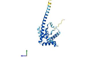 AlphaFold protein structure predicition of Human Recombinant HMGB4 Protein, UniprotID Q8WW32