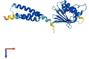 AlphaFold protein structure predicition of Mouse Recombinant Mitd1 Protein, UniprotID Q8VDV8
