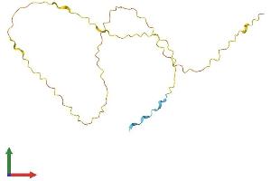 AlphaFold protein structure predicition of Human Recombinant VCX3A Protein, UniprotID Q9NNX9