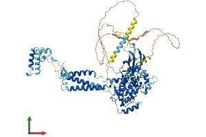 AlphaFold protein structure predicition of Human Recombinant SEC63 Protein, UniprotID Q9UGP8