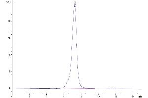 The purity of Human Kremen-1 is greater than 95 % as determined by SEC-HPLC.