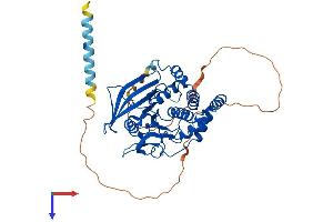 AlphaFold protein structure predicition of Human Recombinant PTPN1 Protein, UniprotID P18031