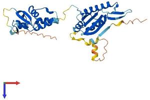 AlphaFold protein structure predicition of Human Recombinant KCTD10 Protein, UniprotID Q9H3F6