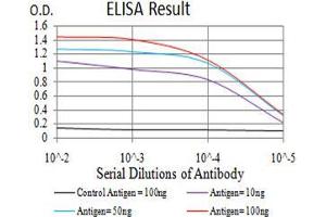 Black line: Control Antigen (100 ng);Purple line: Antigen (10ng); Blue line: Antigen (50 ng); Red line:Antigen (100 ng)