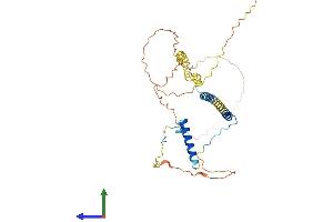 AlphaFold protein structure predicition of Human Recombinant RSRC1 Protein, UniprotID Q96IZ7