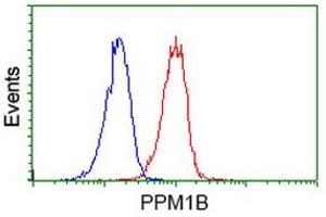 Image no. 3 for anti-Protein Phosphatase, Mg2+/Mn2+ Dependent, 1B (PPM1B) antibody (ABIN1500371)