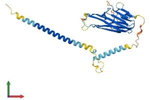 AlphaFold protein structure predicition of Mouse Recombinant Tnfsf10 Protein, UniprotID P50592