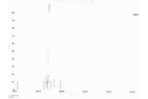 Insulin-Like Growth Factor 1 (IGF1) (AA 81-96) peptide (Ovalbumin)