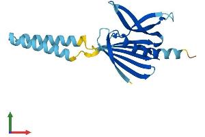 AlphaFold protein structure predicition of Human Recombinant PIGH Protein, UniprotID Q14442