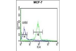 BARON Antibody (Center) (ABIN6243818 and ABIN6577360) flow cytometric analysis of MCF-7 cells (right histogram) compared to a negative control cell (left histogram). (Rubicon anticorps  (AA 656-684))