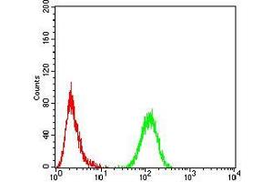 Flow cytometric analysis of Hela cells using CBX5 mouse mAb (green) and negative control (red).
