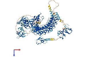 AlphaFold protein structure predicition of Human Recombinant MIB1 Protein, UniprotID Q86YT6