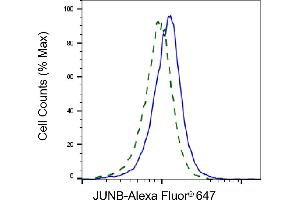 Validation of JUNB knockdown using flow cytometry.