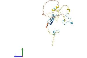 AlphaFold protein structure predicition of Mouse Recombinant Myoz3 Protein, UniprotID Q8R4E4