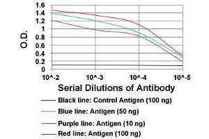 ELISA analysis of SSTR3 monoclonal antibody, clone 7H8E5  at 1:10000 dilution.