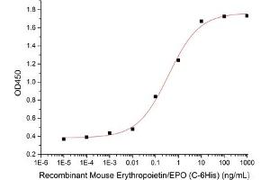 ELISA image for Erythropoietin (EPO) (Active) protein (His tag) (ABIN7320904)