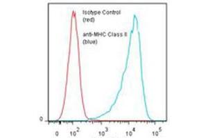 Flow cytometric analysis of Daudi cells with MHC Class II monoclonal antibody, clone TDR31. (MHC Class II anticorps)