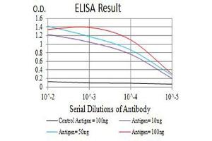 Black line: Control Antigen (100 ng),Purple line: Antigen (10 ng), Blue line: Antigen (50 ng), Red line:Antigen (100 ng)