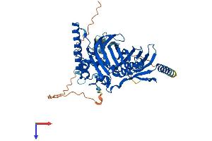 AlphaFold protein structure predicition of Mouse Recombinant Osbpl2 Protein, UniprotID Q8BX94