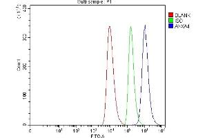 Flow Cytometry analysis of HEL cells using anti-Annexin-4/ANXA4 antibody (ABIN7599265).