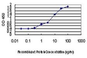 Detection limit for recombinant GST tagged STC2 is approximately 0. (Stanniocalcin 2 anticorps  (AA 1-302))