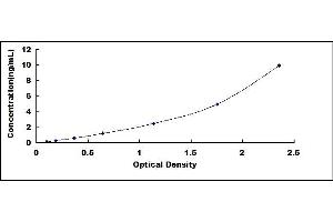 Typical standard curve (NT5C Kit ELISA)