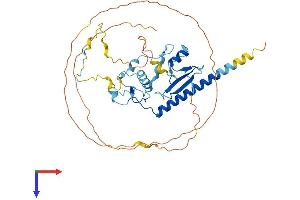 AlphaFold protein structure predicition of Human Recombinant MBD2 Protein, UniprotID Q9UBB5