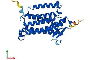 AlphaFold protein structure predicition of Human Recombinant ACER2 Protein, UniprotID Q5QJU3