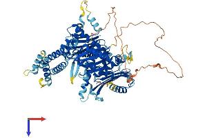 AlphaFold protein structure predicition of Human Recombinant HPS1 Protein, UniprotID Q92902