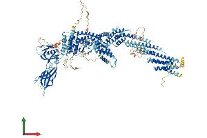 AlphaFold protein structure predicition of Mouse Recombinant Cadps2 Protein, UniprotID Q8BYR5