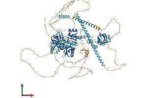 AlphaFold protein structure predicition of Mouse Recombinant Eif5b Protein, UniprotID Q05D44