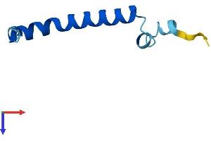 AlphaFold protein structure predicition of Human Recombinant UQCR11 Protein, UniprotID O14957