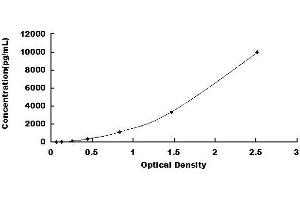 Typical standard curve
