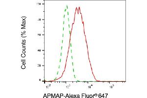 Flow cytometric analysis of APMAP expression in HT- cells using APMAP antibody (ABIN7797528), 1:2,000).