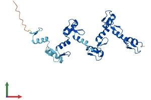 AlphaFold protein structure predicition of Mouse Recombinant Znf146 Protein, UniprotID Q8BQN6