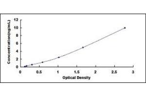 Typical standard curve (MYLK Kit ELISA)