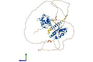 AlphaFold protein structure predicition of Mouse Recombinant Irf2bp1 Protein, UniprotID Q8R3Y8