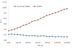 SARS-Coronavirus Nonstructural Protein 8 (SARS-CoV NSP8) protein